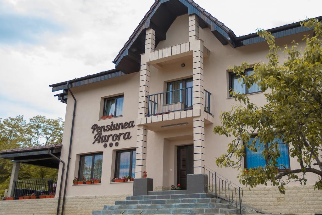 Hotel Pensiunea Aurora à Racova Extérieur photo