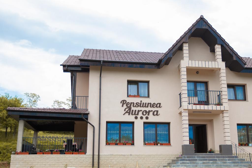 Hotel Pensiunea Aurora à Racova Extérieur photo